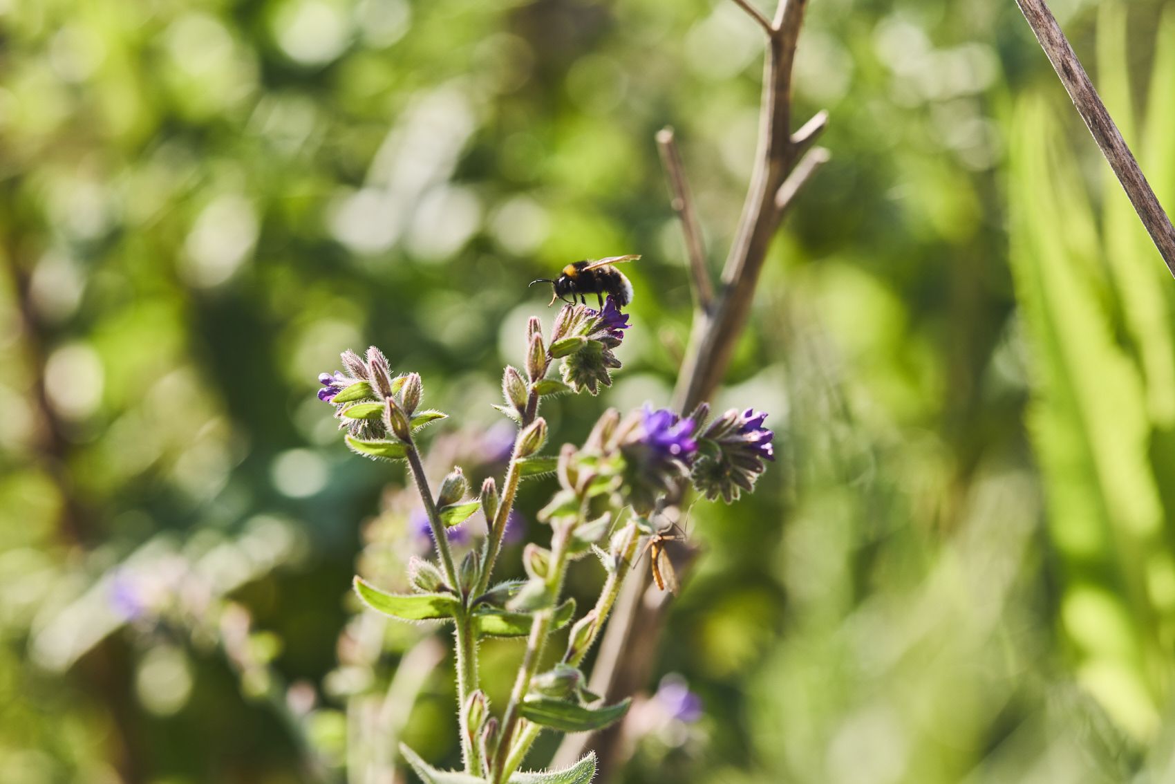 Rohstoffe & Rekultivierung