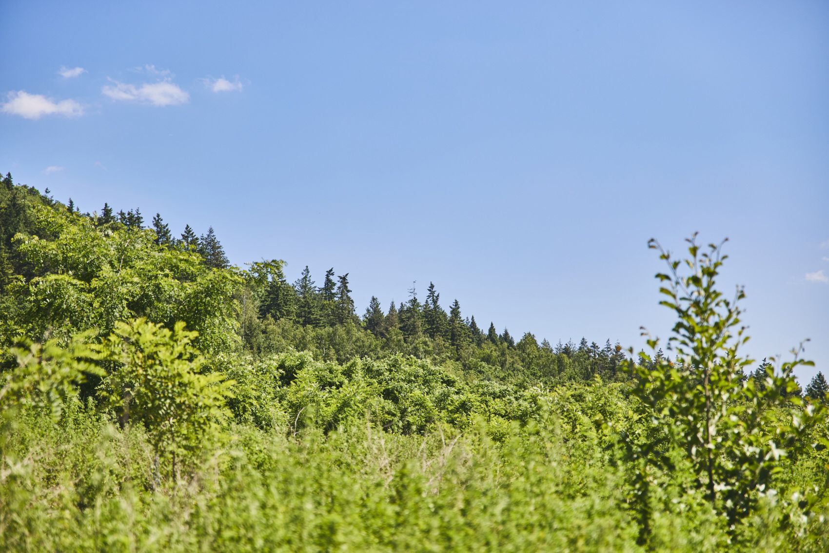 Rohstoffe & Rekultivierung