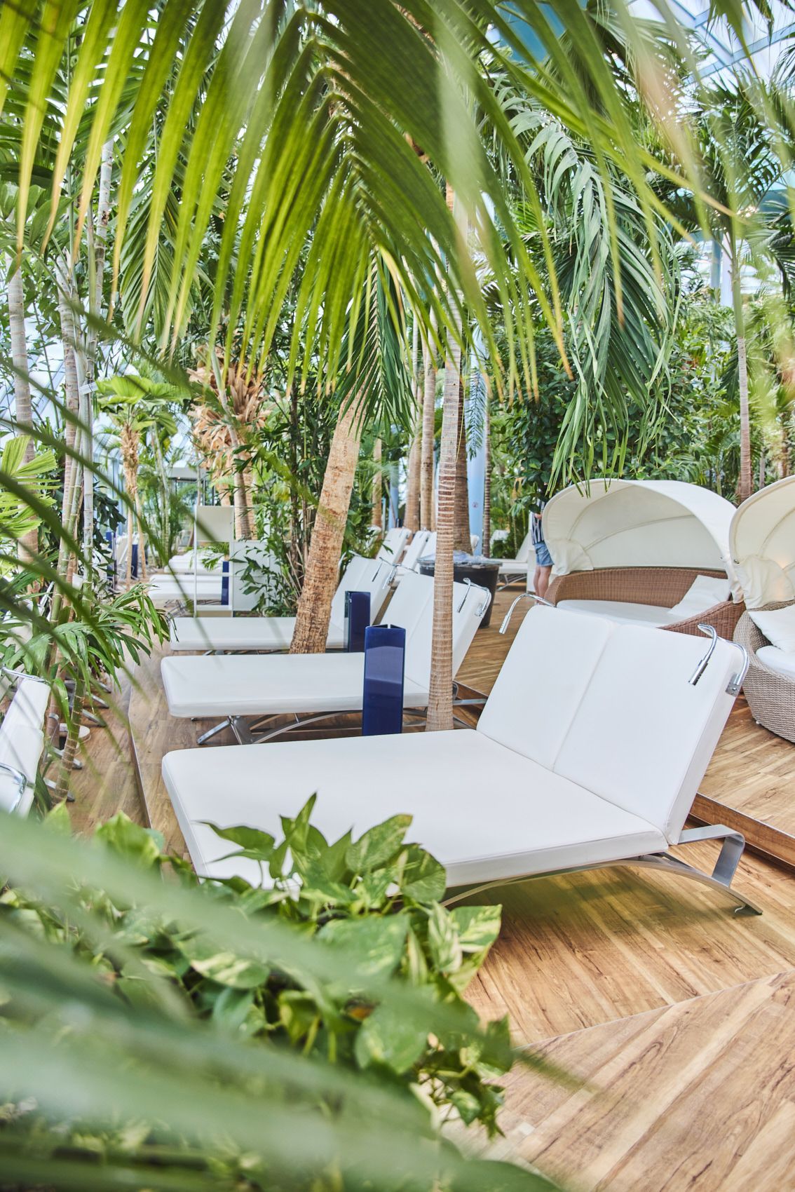 Mineralsubstrate, mineralische Substrate, Kultursubstrate