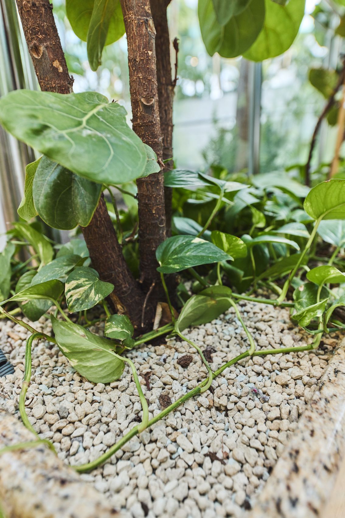 Mineralsubstrate, mineralische Substrate, Kultursubstrate