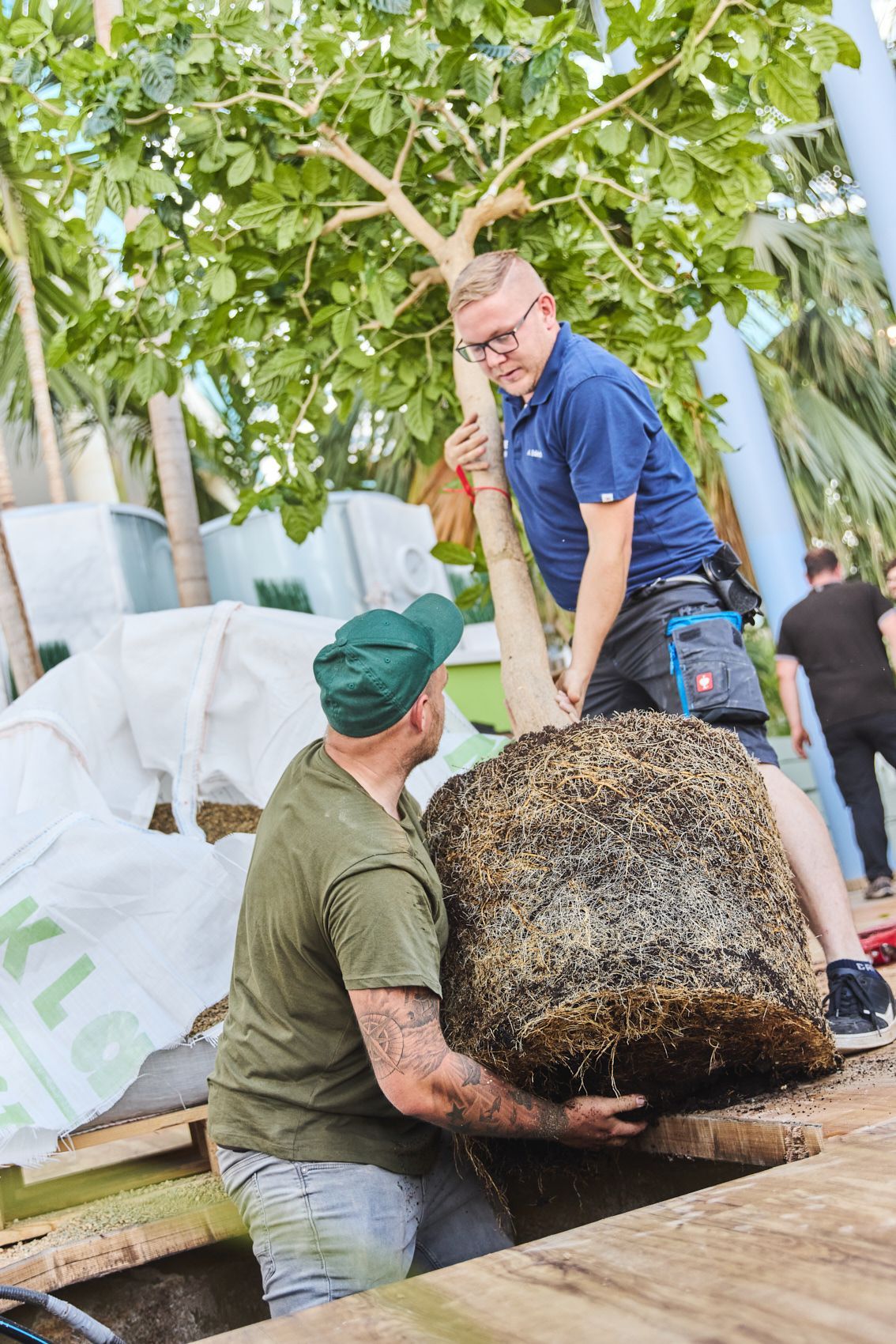 Mineralsubstrate, mineralische Substrate, Kultursubstrate