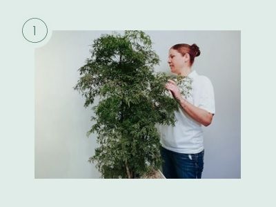 Bewässerungsanleitung