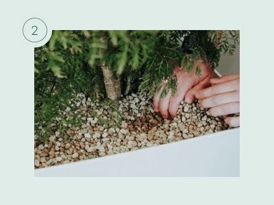 Bewässerungsanleitung