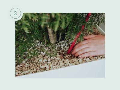 Bewässerungsanleitung