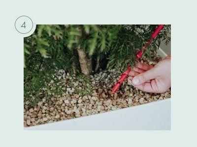 Bewässerungsanleitung