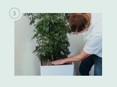 Bewässerungsanleitung