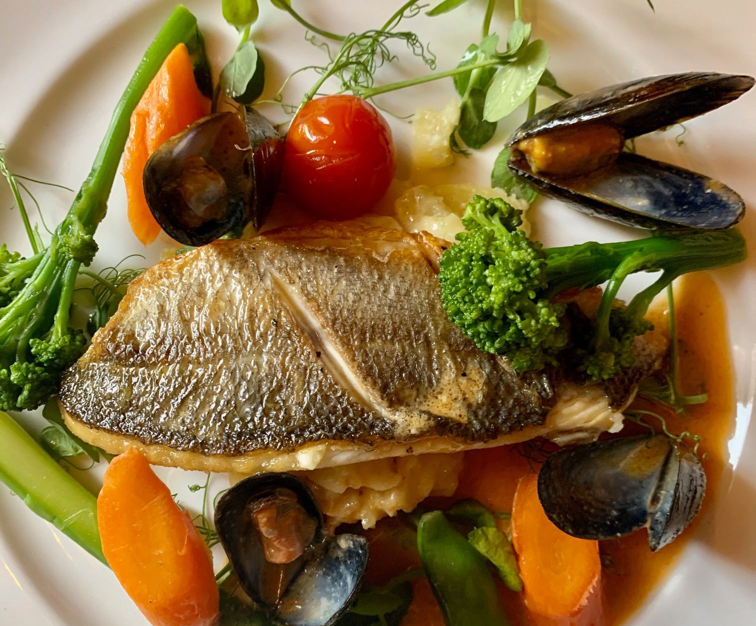 Irish sea bass with Prawn and Mussels