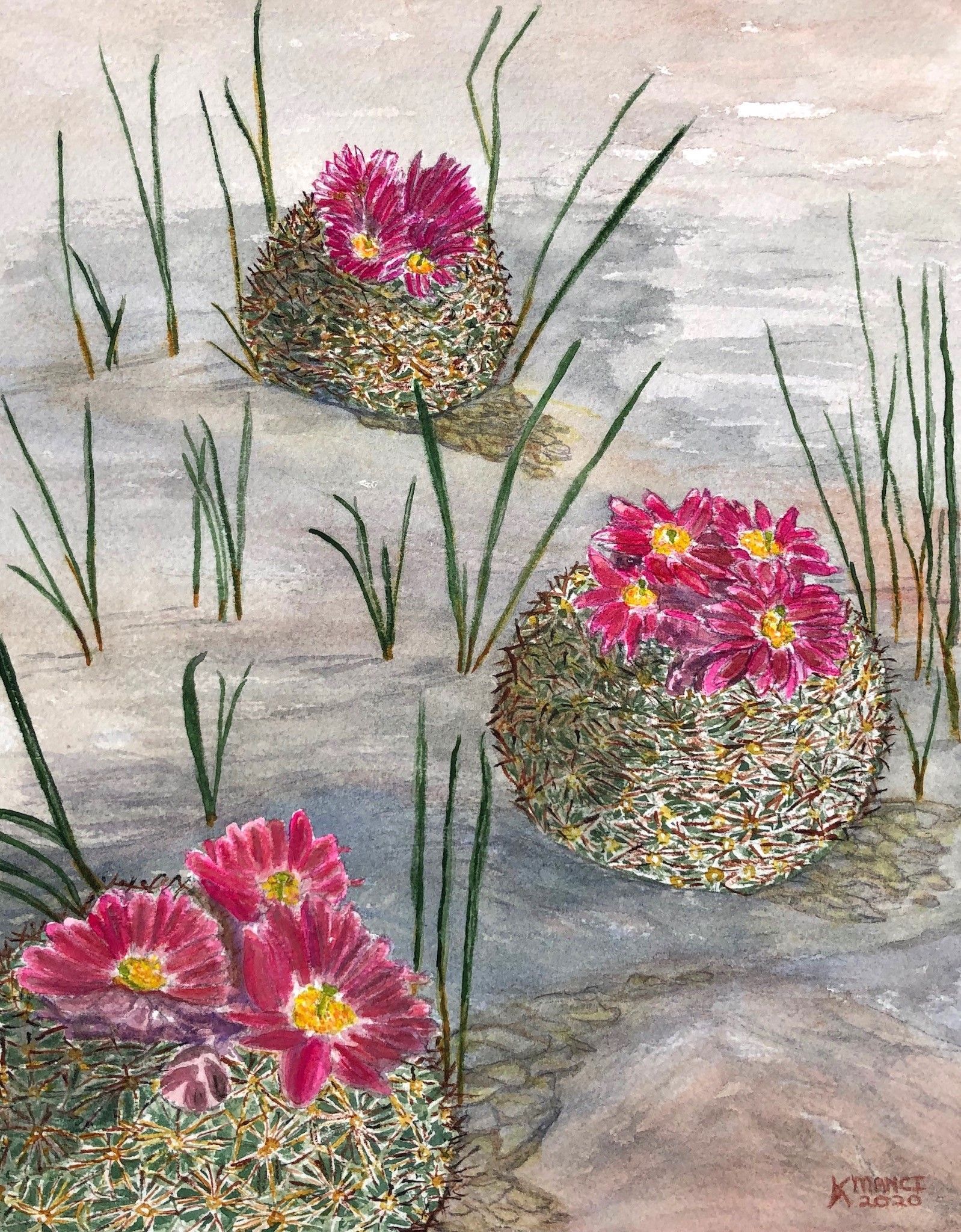 Cactus Balls