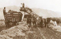 Jacobs Family Berry Farm historic image 3