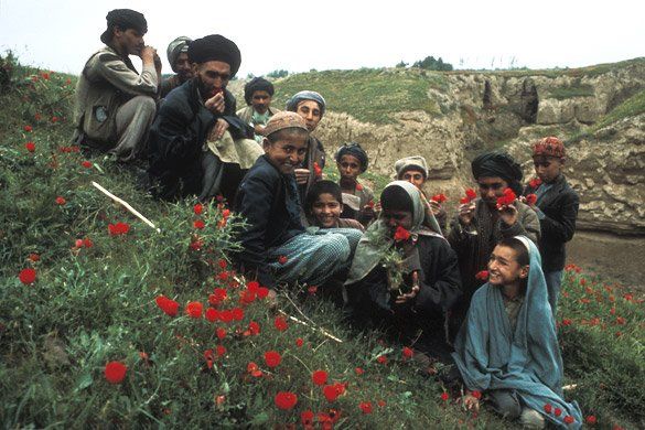 flower lovers