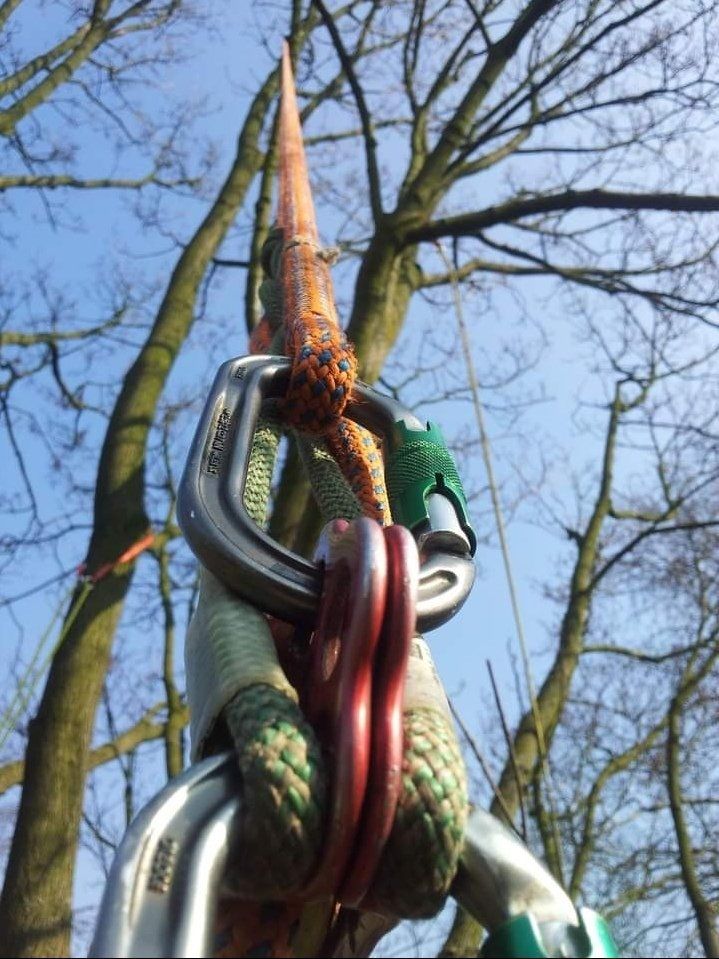 Martin Bielak Baumpfleger Mülheim Seilklettertechnik