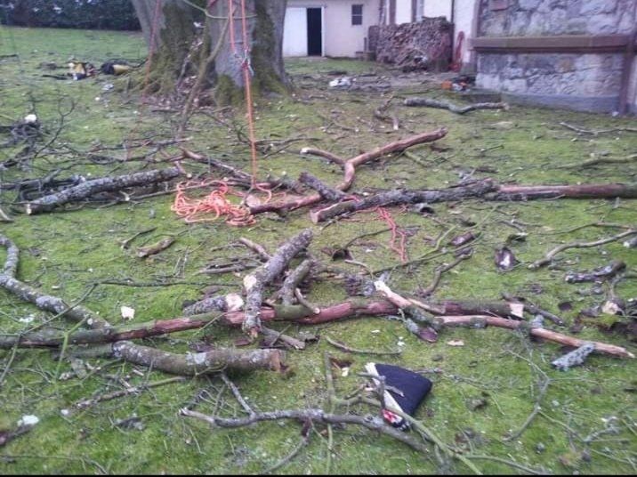 Martin Bielak Baumpfleger Mülheim