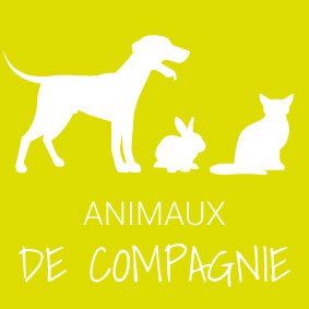 Animaux de compagnie
