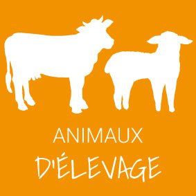 Animaux d'élevage