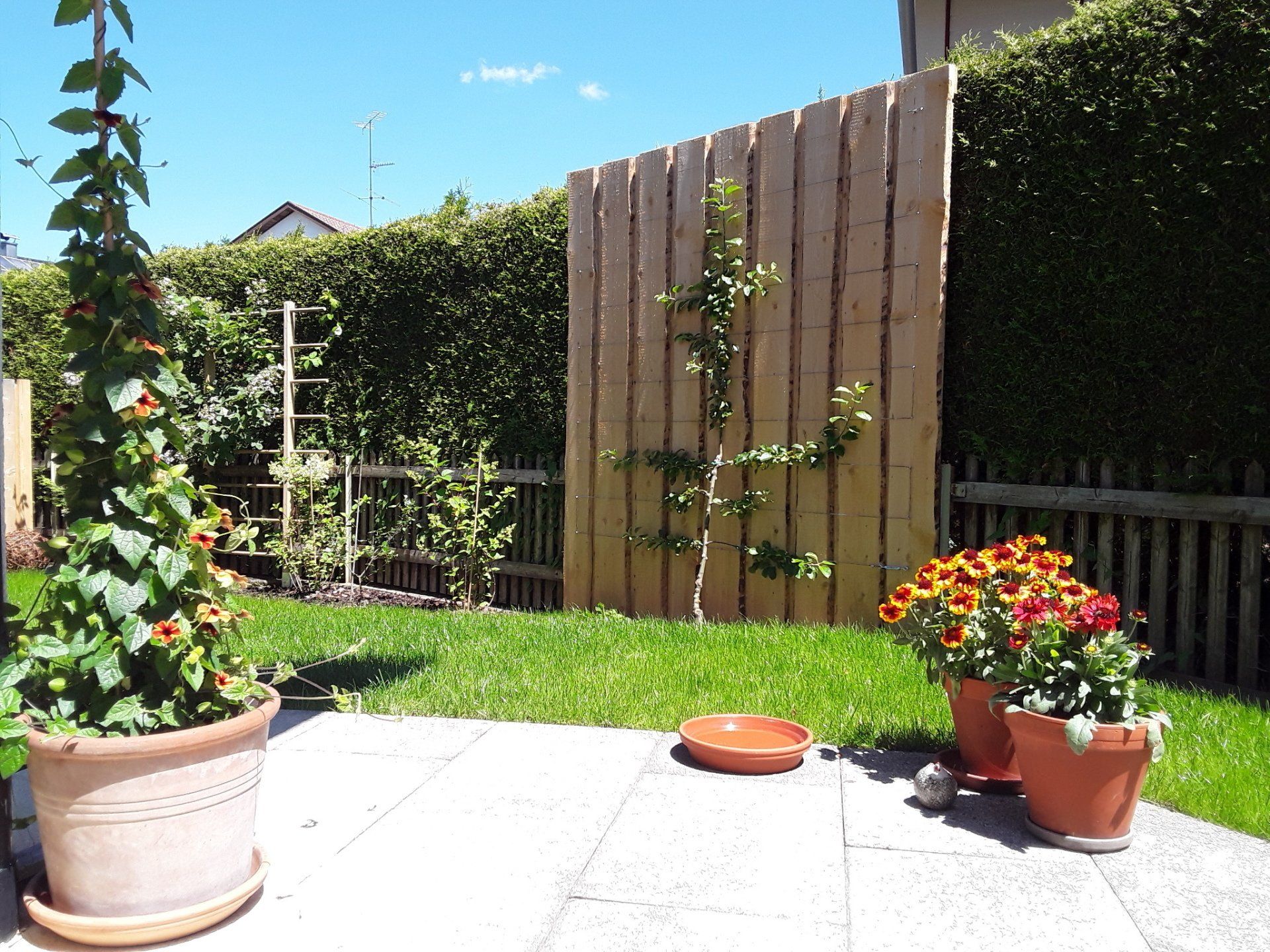 Gartenneugestaltung nach Feng Shui