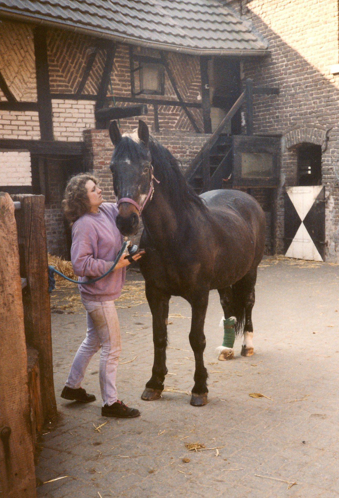 Tier-Energetikerin Daniela Gröll mit ihrer schwarzbraunen Lieblingsstute Vroni bei der Fellpflege