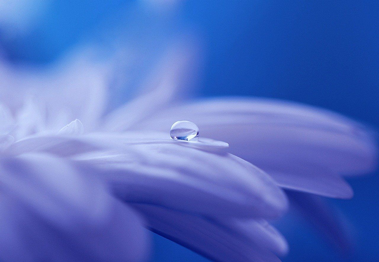 Energiearbeit, Tier-Energetik Daniela Gröll