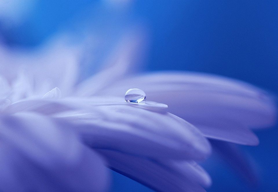 Energiebild, Hintergrund blutöne Vordergrund weiß und hellblau Wassertropfen
