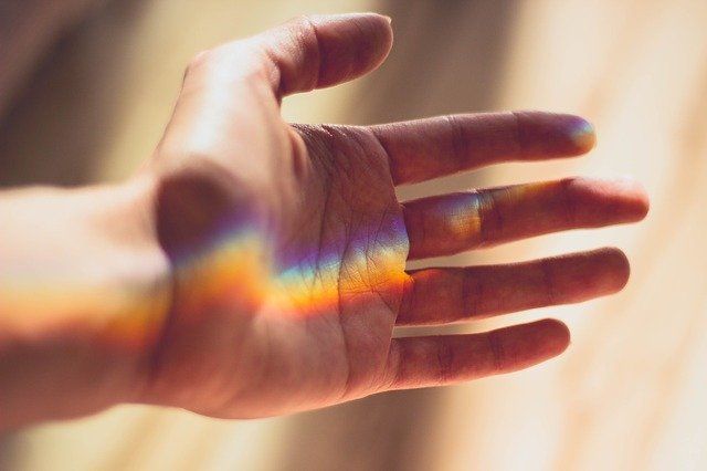 Energierbeit, Tierheilung, heilende Hände, Reiki Daniela Gröll