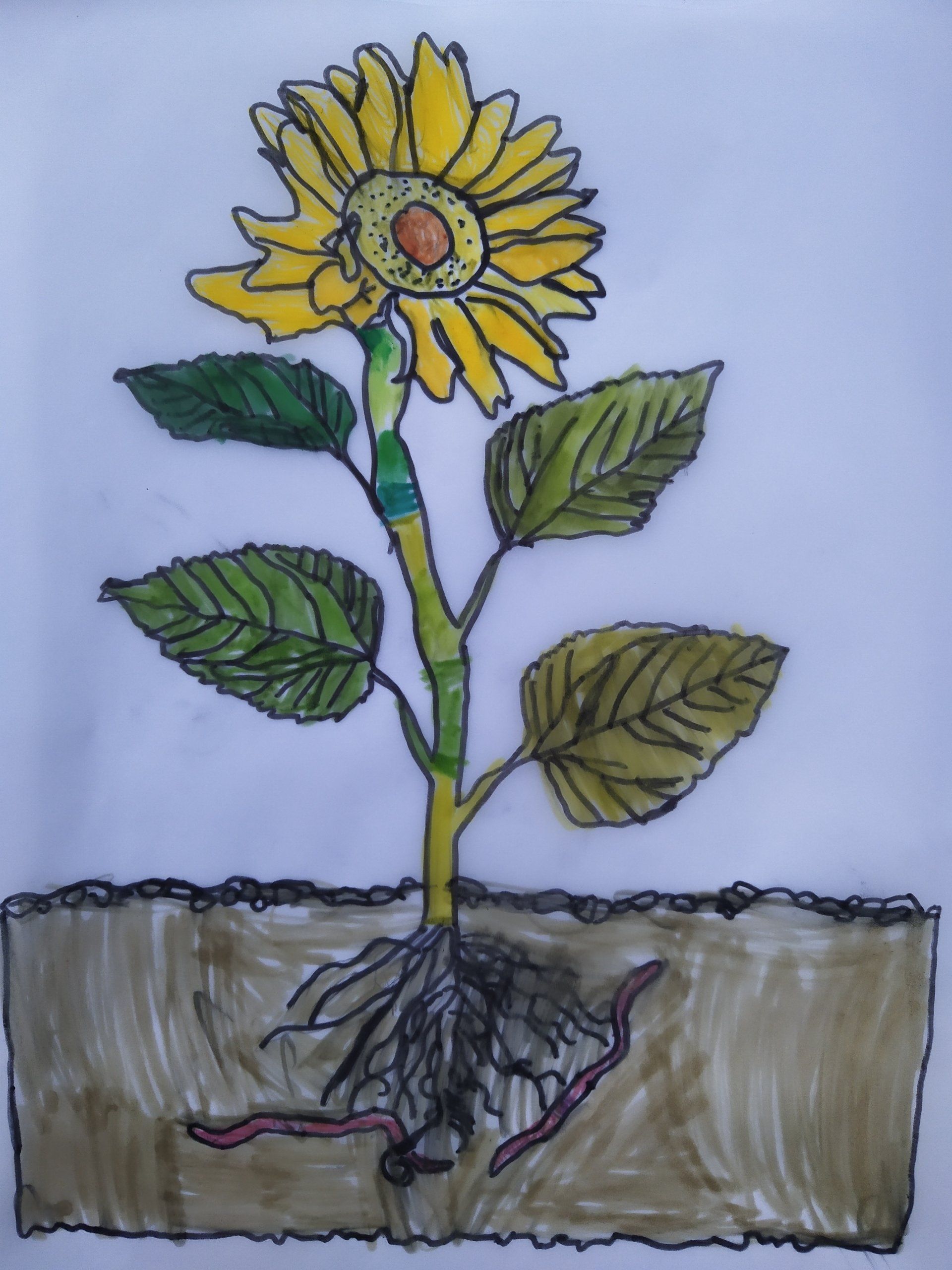Dessin calque Enio 6 ans et demi, sept 2022 Dessin calque Enio 6 ans et demi, sept 2022