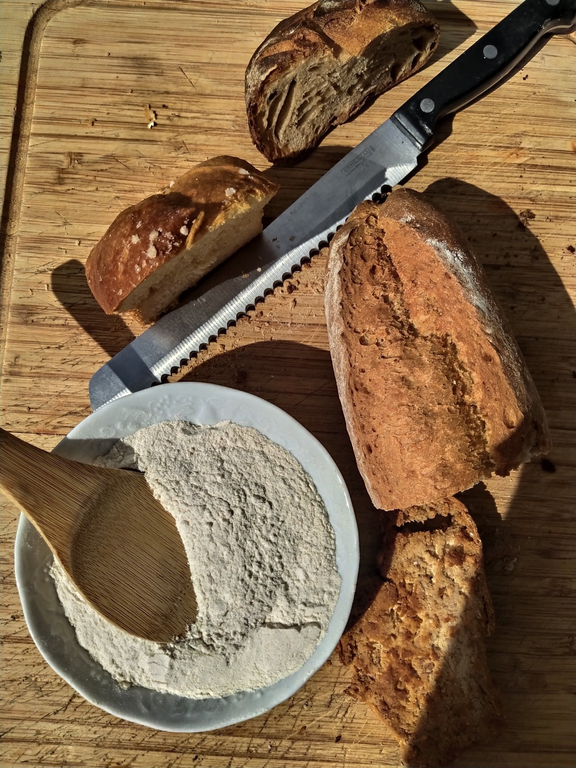 Blé, farine, pains, brioches, burger
