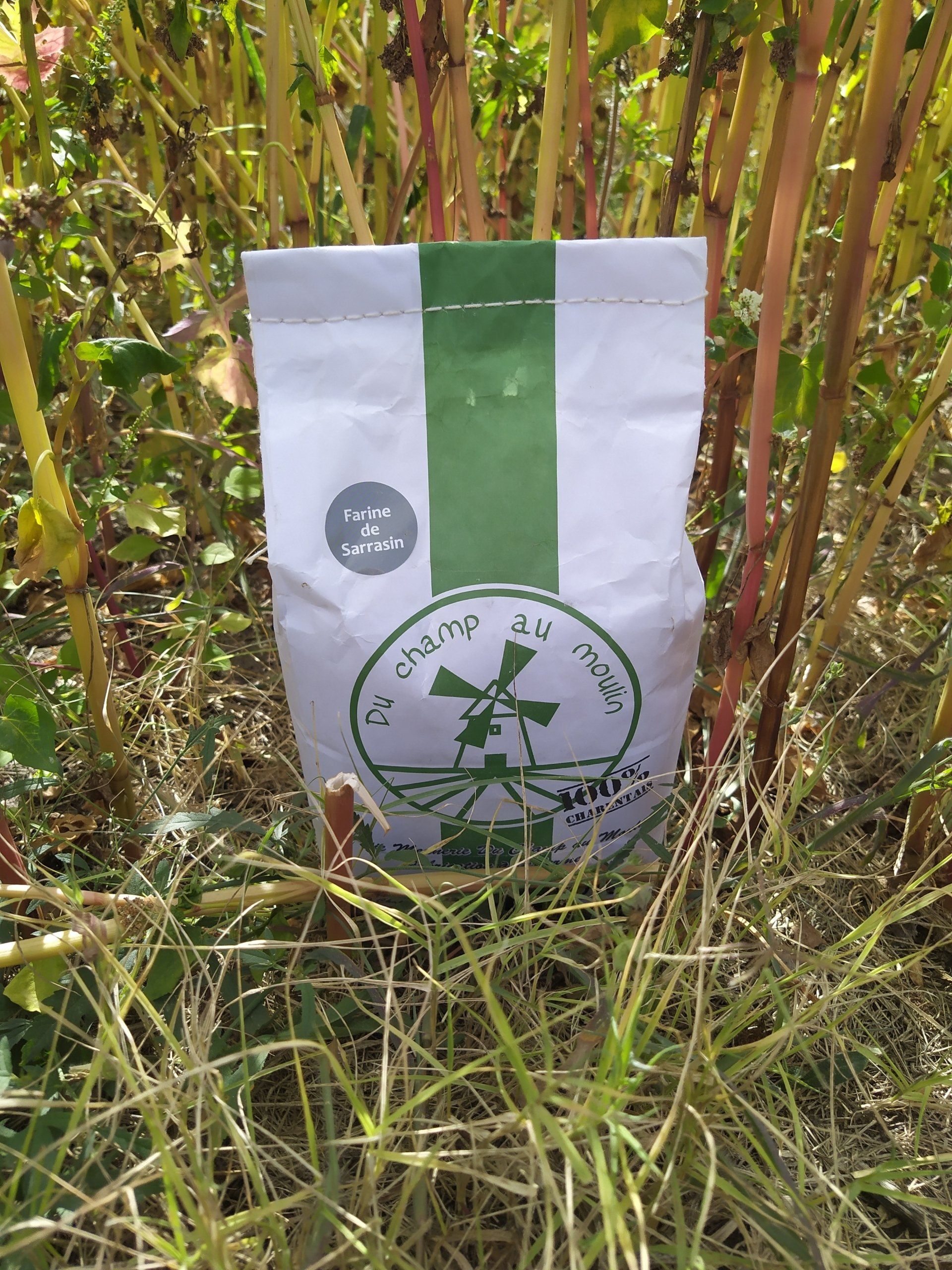 Sarrasin, farine sans gluten