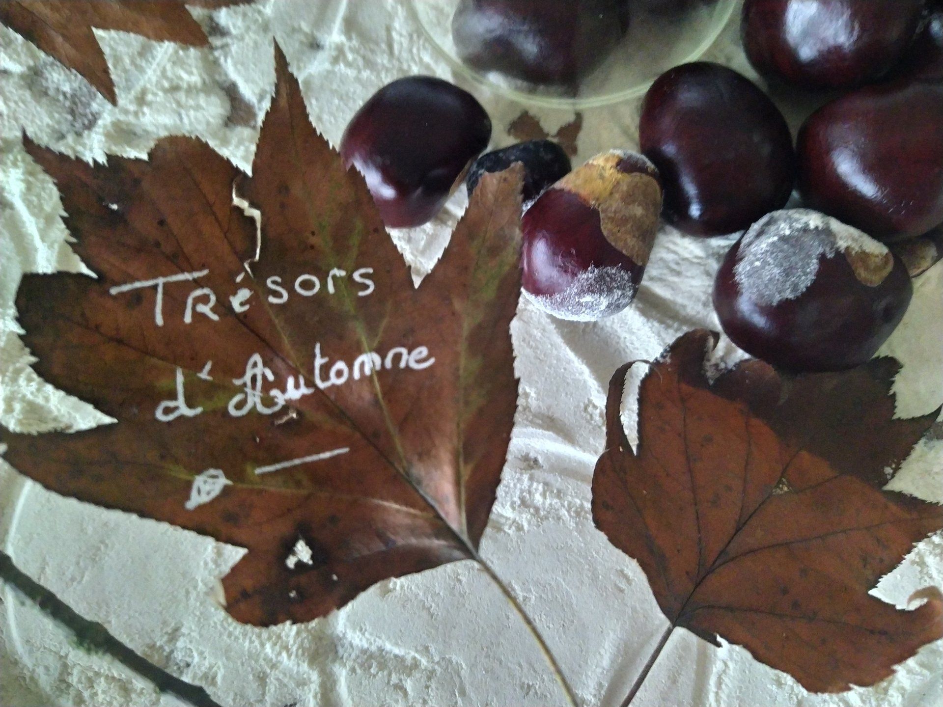 Novembre 2022, Trésors d'automne