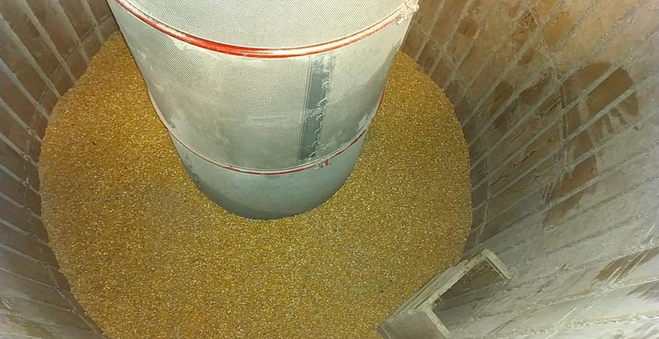 Grains, céréales