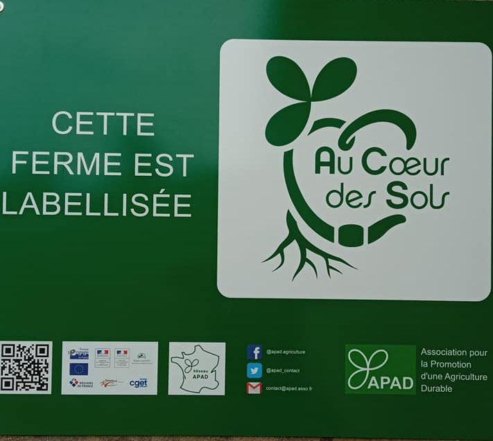 Au coeur des sols Au coeur des sols