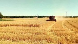 Champ et moissonneuse, Nouvelle Aquitaine