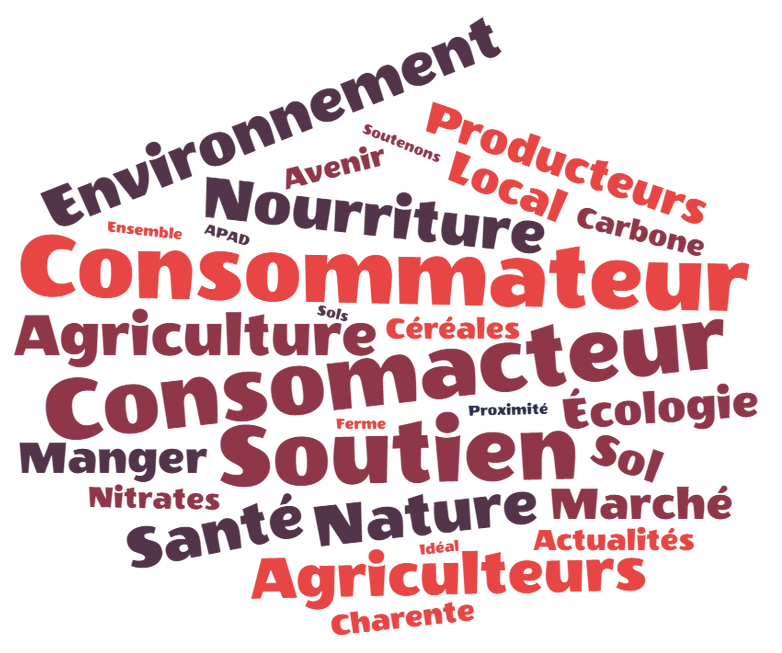 Lien vers actu Nuage de mots consommateurs ACS