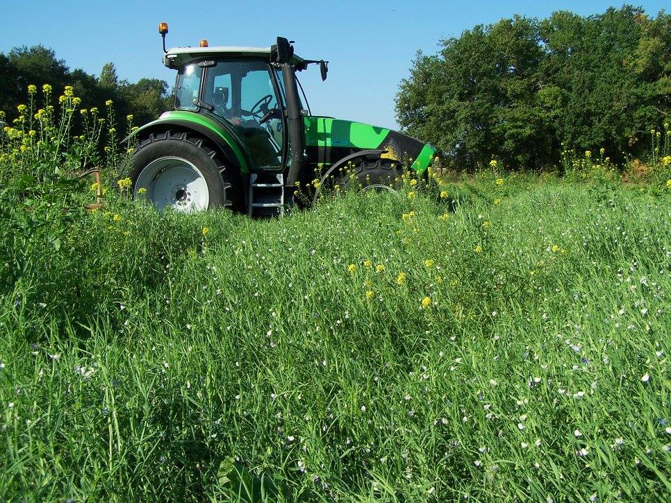Tracteur, points de vente