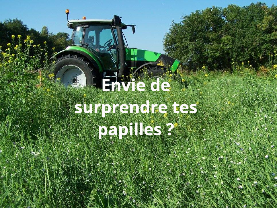 Farines et huiles, surprends tes papilles Farines et huiles, surprends tes papilles