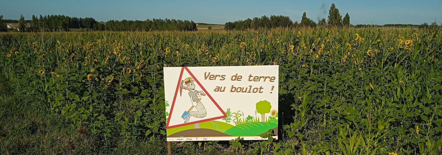 Vers de terre au boulot, du champ au moulin, Charente