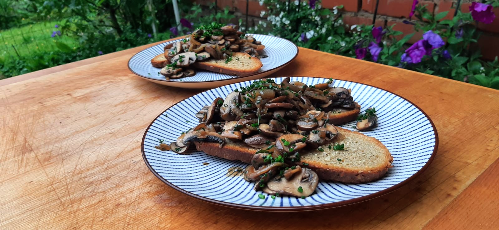 Rezepte für Fingerfood, Vorspeisen und Snacks