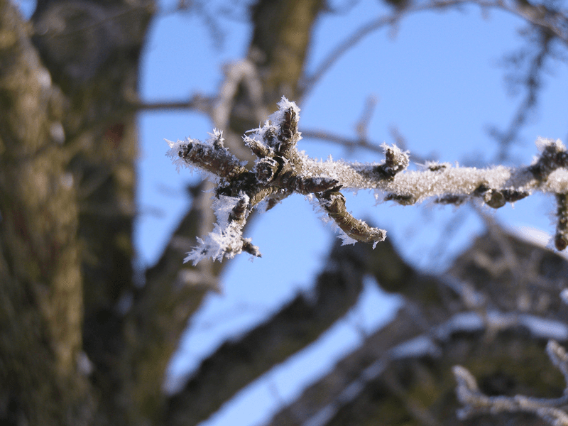 Betriebs Weihnachtsfeier Foto Wettbewerb große gruppen
