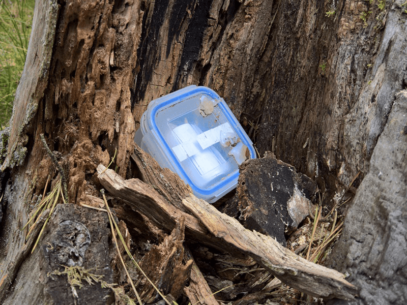 Team Schatzsuche Weihnachtsfeier Berlin Umland