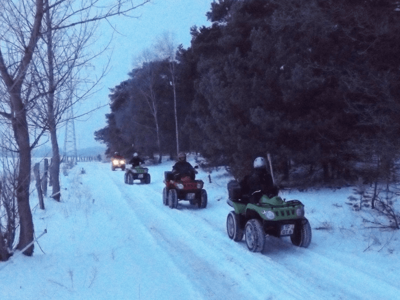 Weihnachtsfeier Idee mit Quad fahren und Weihnachtsbäume selber schlagen