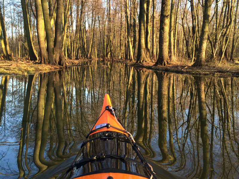Team Weihnachtsfeier Paddeln Spreewald
