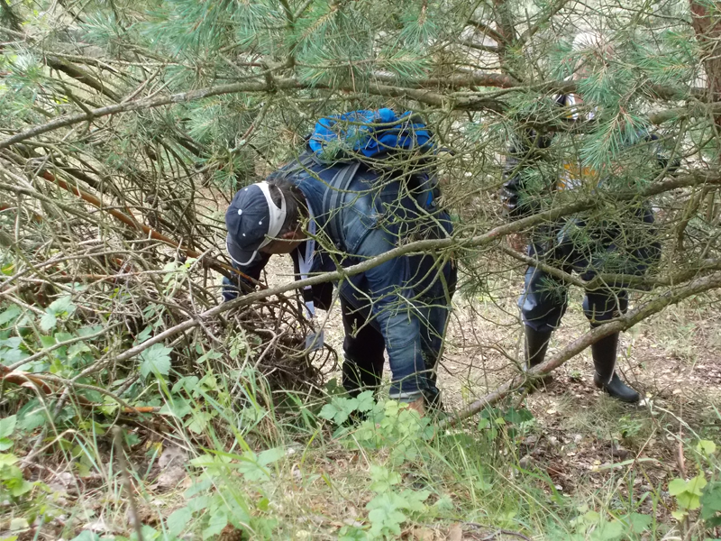 Idee Firmen Weihnachtsfeier Geo Caching