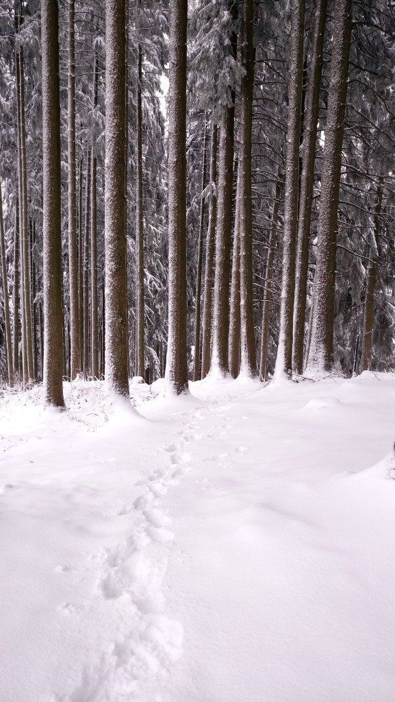 wandern