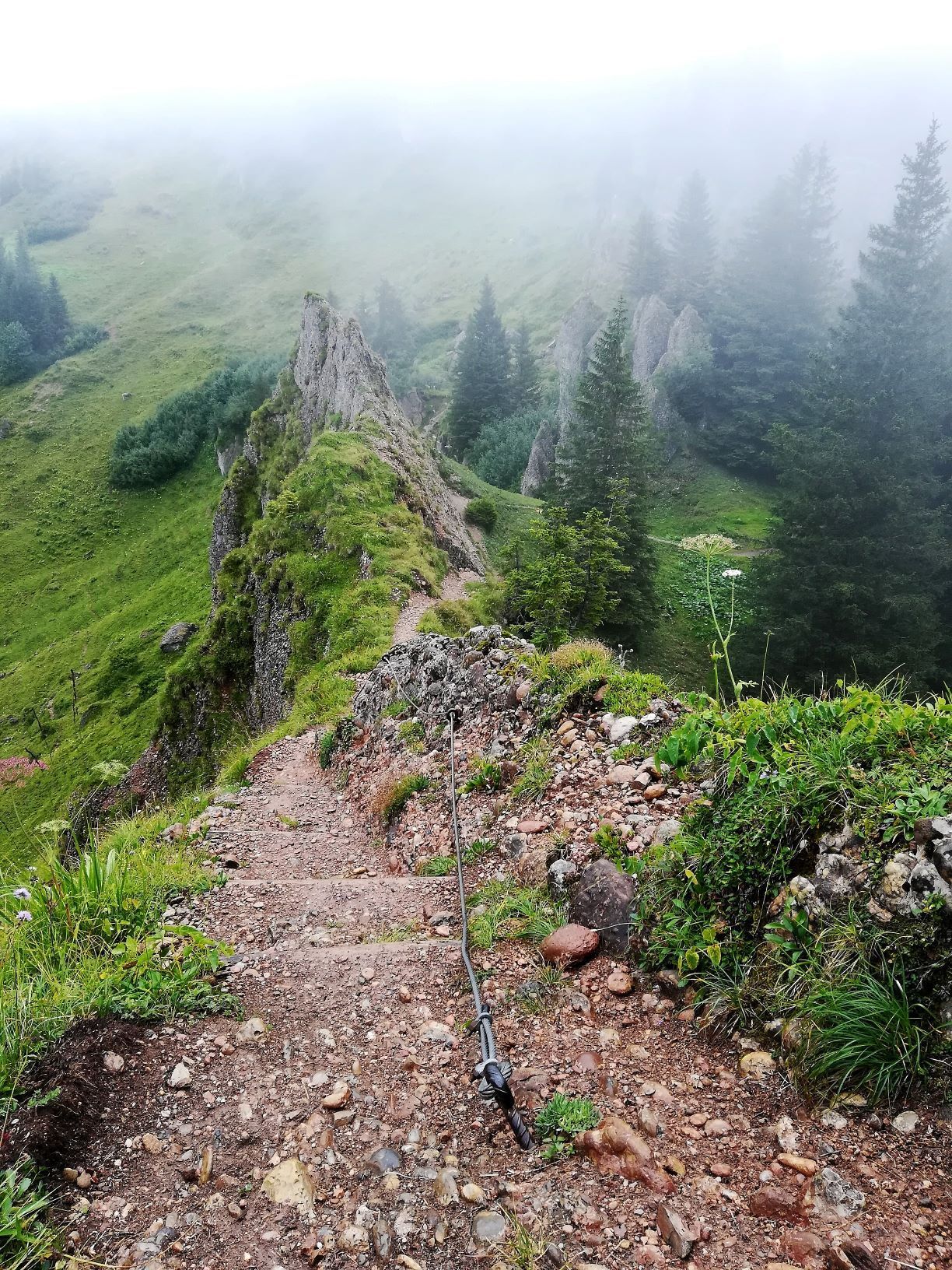 Zwei-Seen-Blick: Alatsee und Weißensee