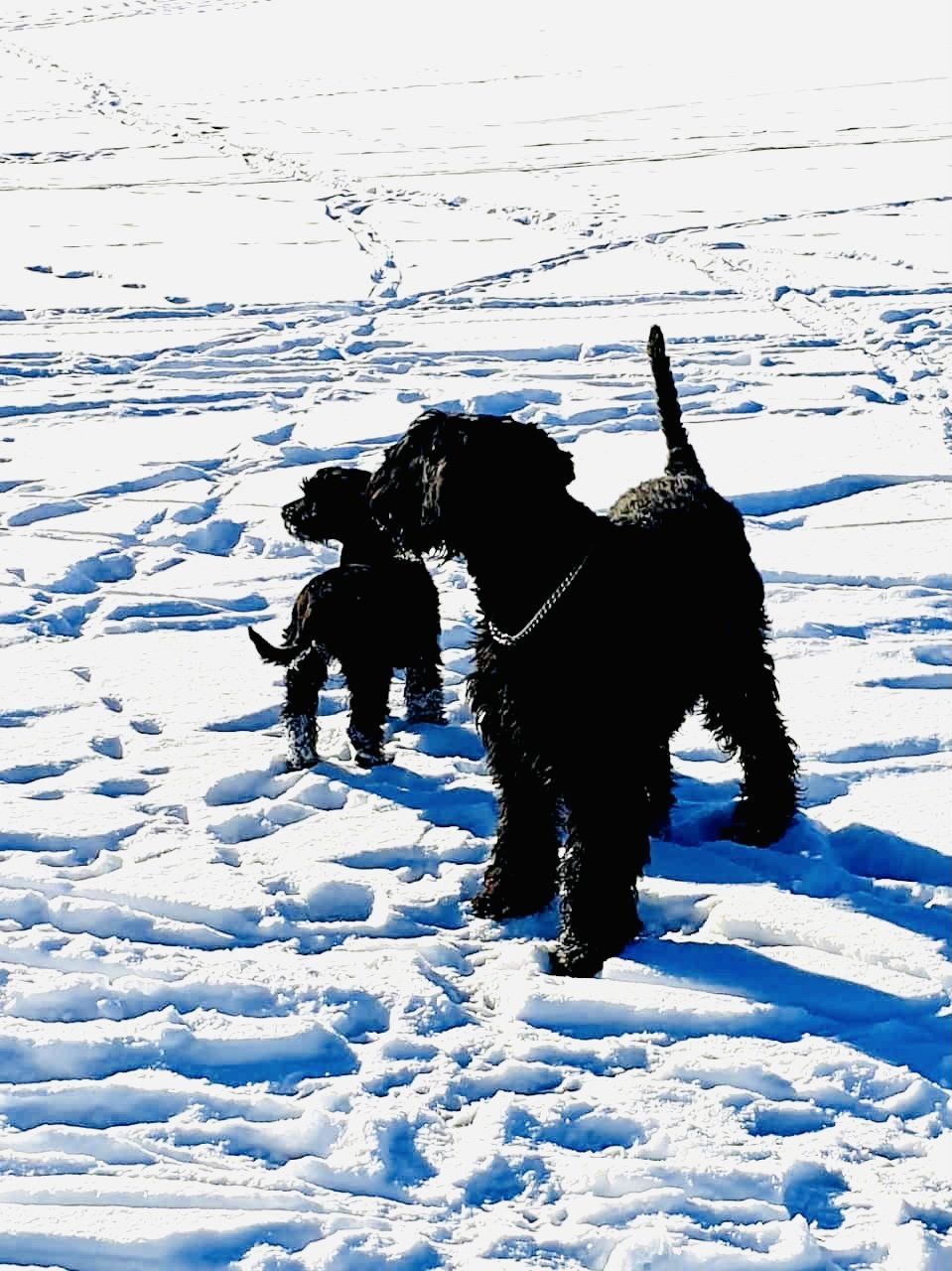 Bagic und Mama Odina Bagic und Mama Odina