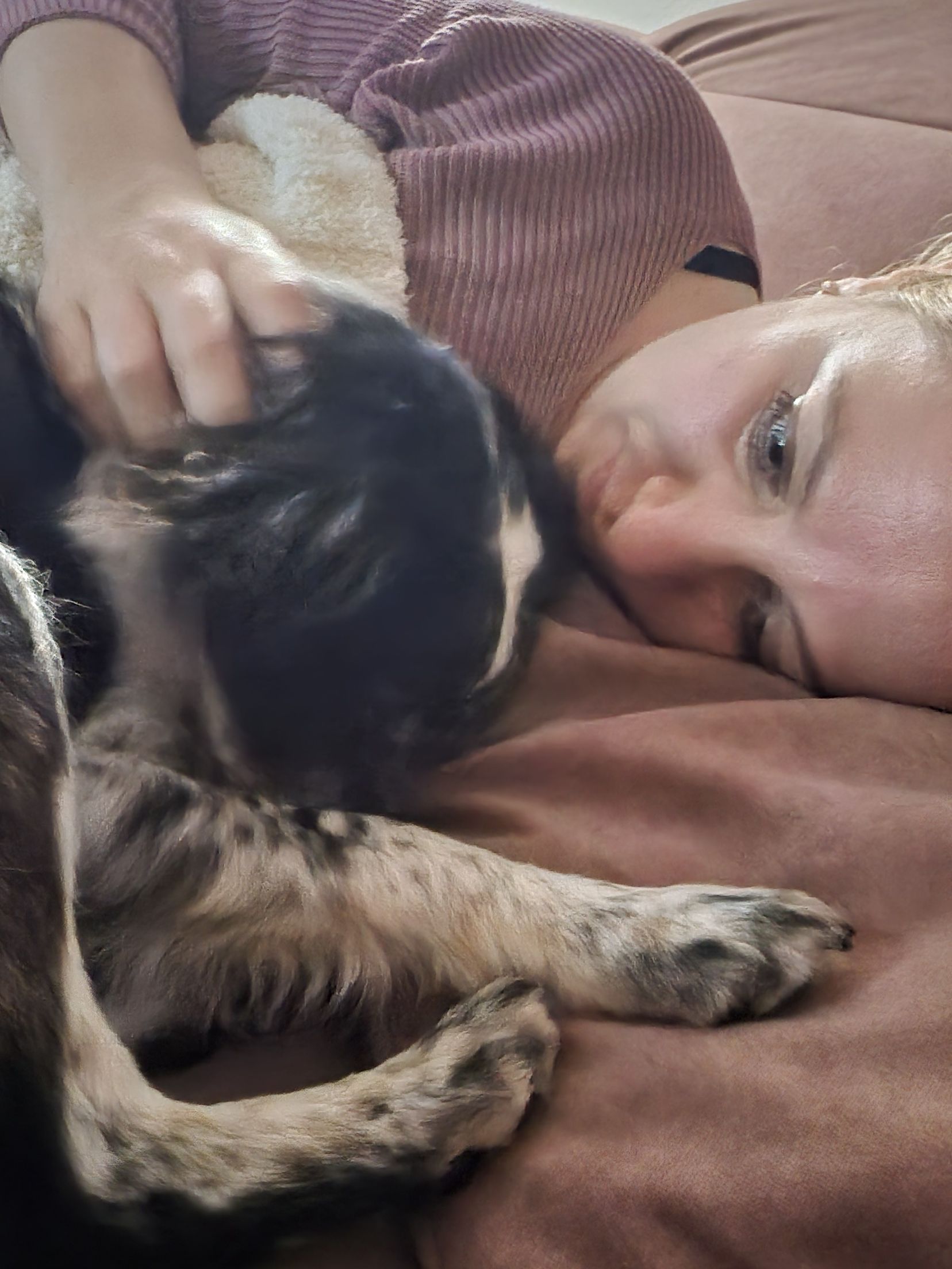 Mensch mit Hund in enger Verbindung