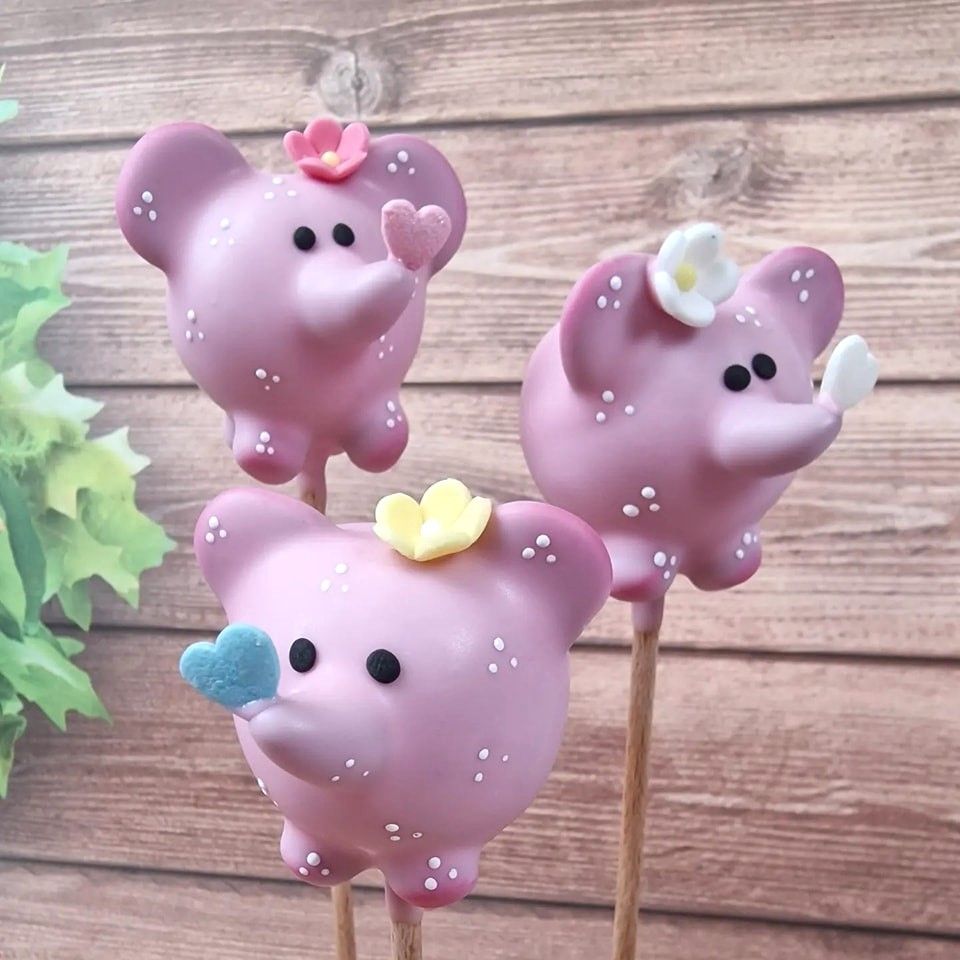 Anleitung für einen Cake Pop