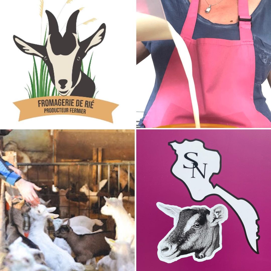 lait de chèvre vendéen/Savon de Noirmoutier