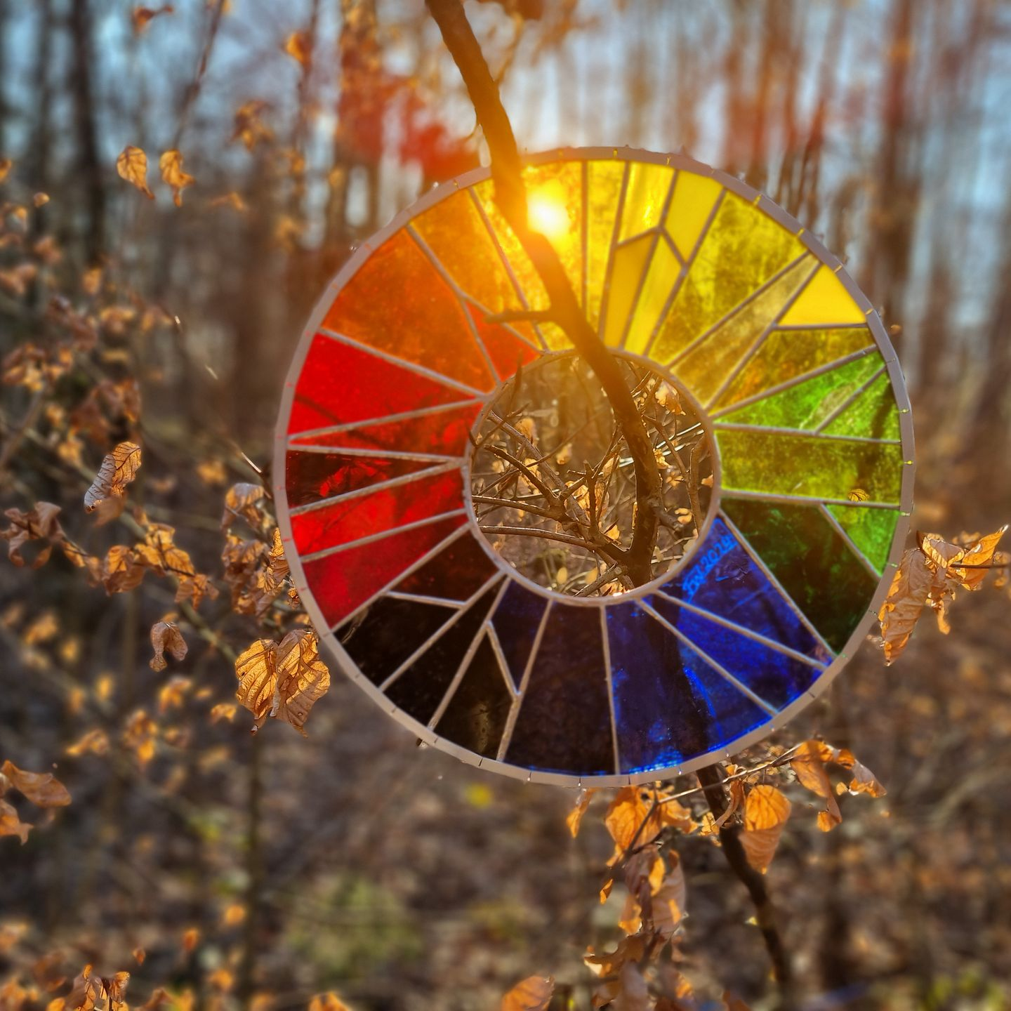 Glasbild - Farben des Lebens