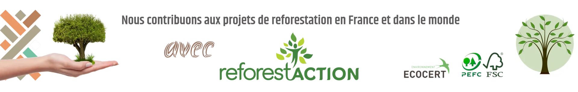 INNOV'PARQUET s'engage aux côtés de Reforest'ACTION