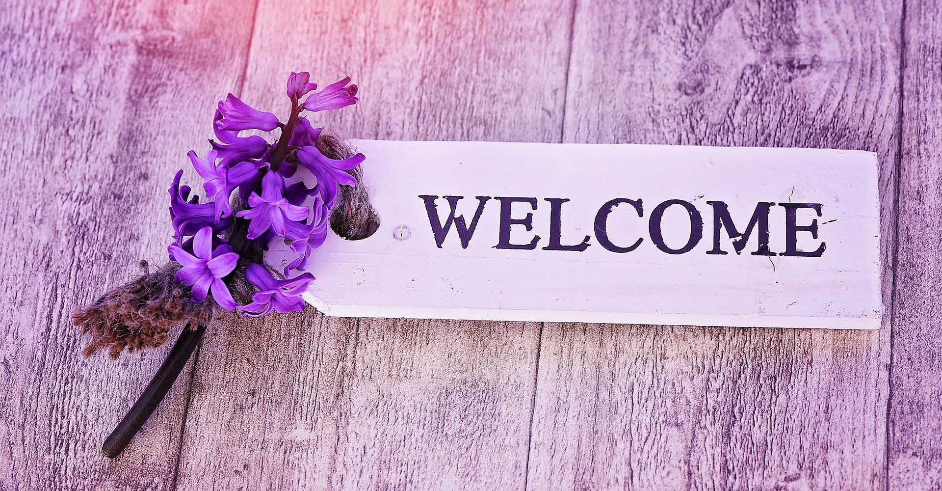 Tu nuevo rincón de bienestar, naturaleza y vida consciente