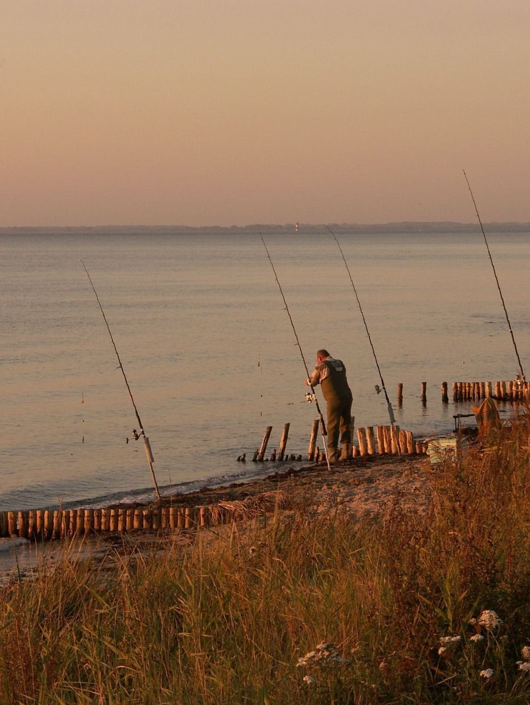 Ferienland Ostsee – Geltinger Bucht e.V. Angeln Abendstimmung
